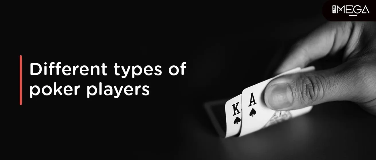 Different Types of Poker Players