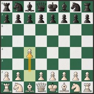 How to play English chess with the perfect opening