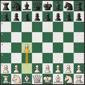 Anatoly Karpov Explains The Sicilian Dragon: The Best Games Of The