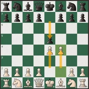 Best Chess Opening for White and Black