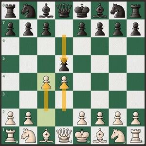 The Queen's Gambit: Chess Tips and Strategies for Everyday Life