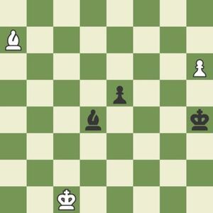 P. Heuacker’s chess game best moves for endgame as published in Neue Freie Presse 44th edition