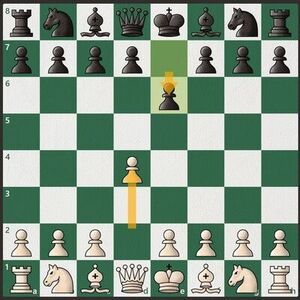 Openings in chess - 5 most unusual openings played by Grandmasters