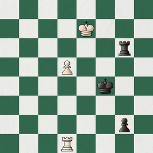 Rook endgames or rook and pawn endgames