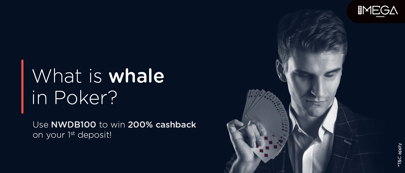 Whale in Poker